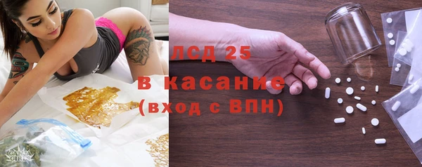 индика Беломорск