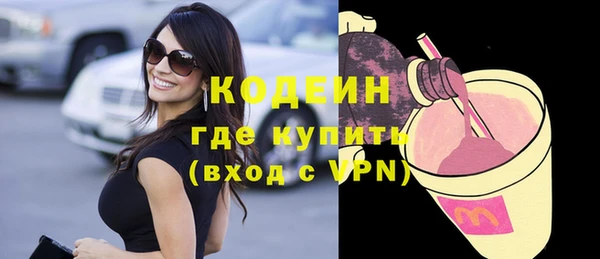 индика Беломорск
