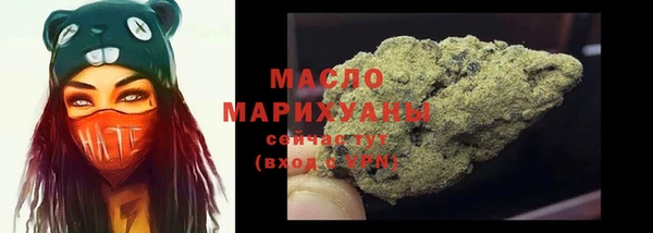 индика Беломорск