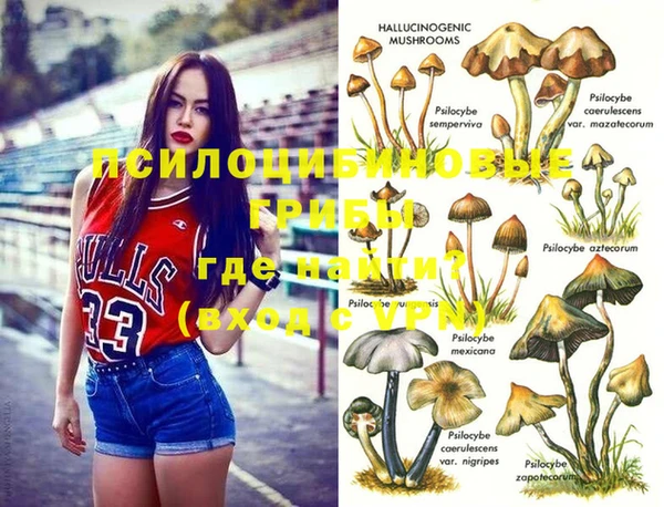 MDMA Богданович