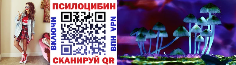 Псилоцибиновые грибы MAGIC MUSHROOMS  что такое наркотик  мега вход  Бобров 